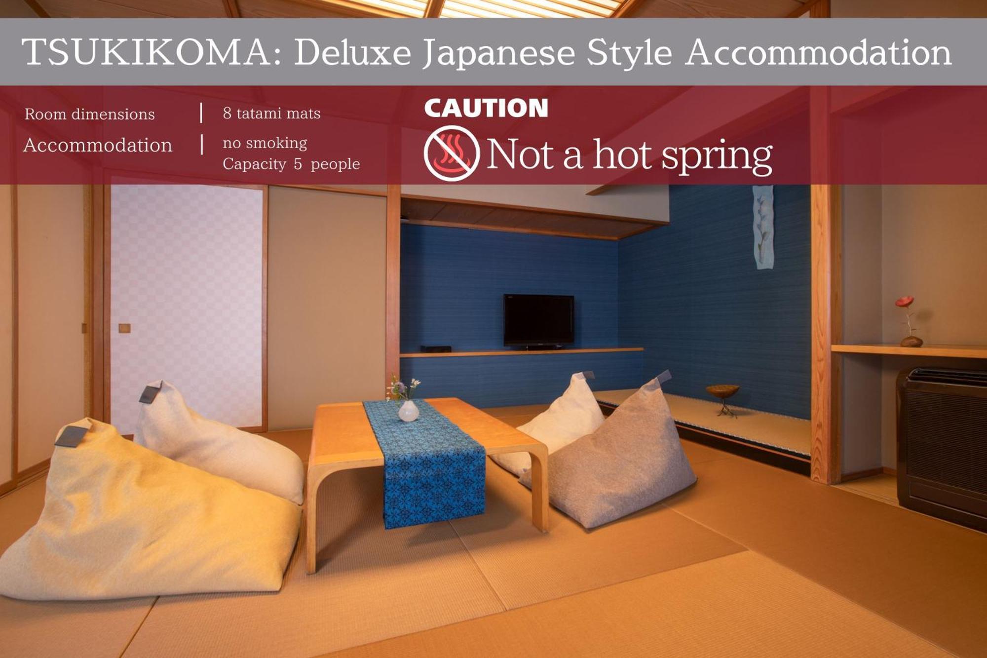 Ichiraku Tendo Spa & Brewery Room photo